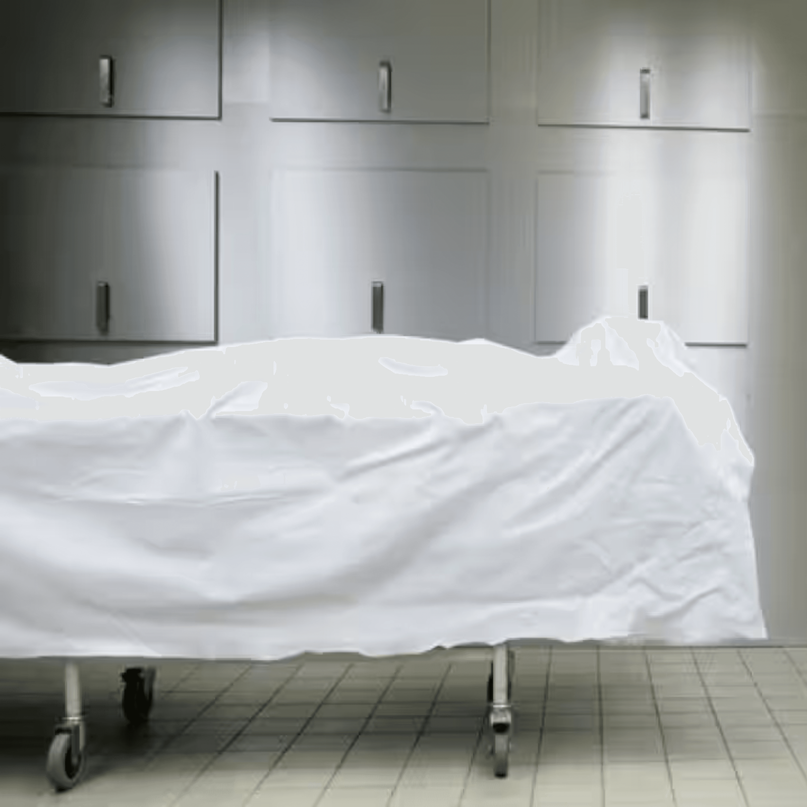 吉善堂 – 專業殯儀服務-處理遺體文件及手續 吉善堂 - 專業殯儀服務-處理遺體文件及手續